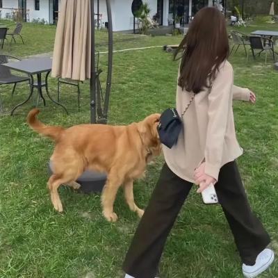 与君相恋100次